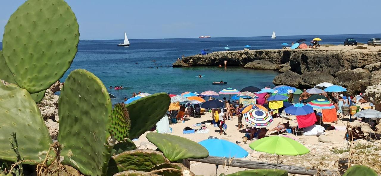 Vila La Chianca - Locazione Turistica Monopoli Exteriér fotografie